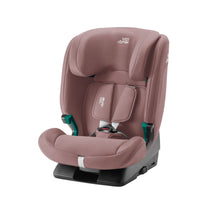 Britax Linea Europea Evolvafix Dusty Rose de 15 meses a 12 años
