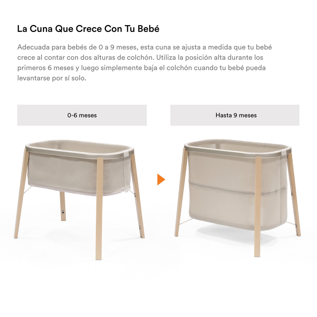 cuna stokke medidas Stokke Snoozi Cuna para bebés de 0 a 9 meses – bebemoonmx