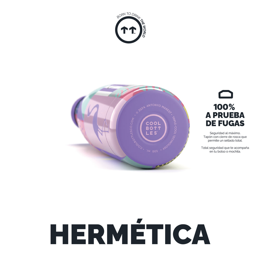 Cool Bottles Botella Termo René 500ml